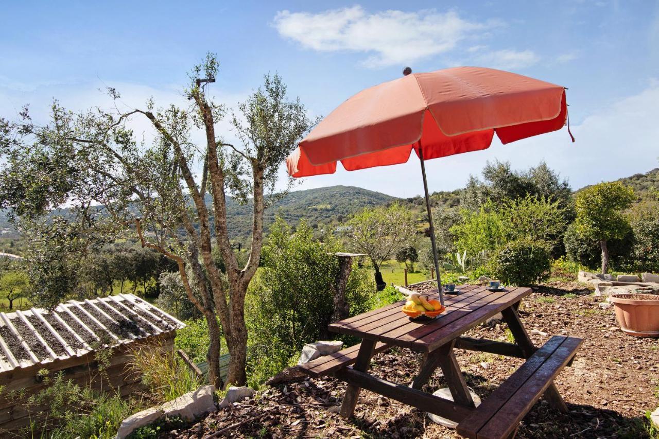 Maison d'hôtes Casa Tibagota à São Brás de Alportel Extérieur photo